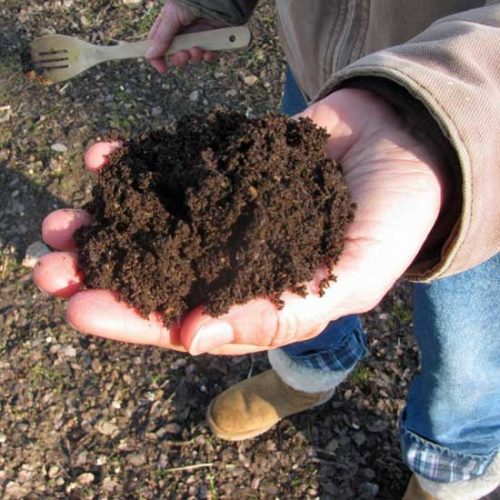 The Dish on Dirt